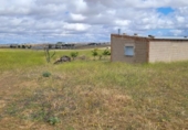 Casa amb terreny en venda a la España, Pozoblanco, ref.: TR296479 foto