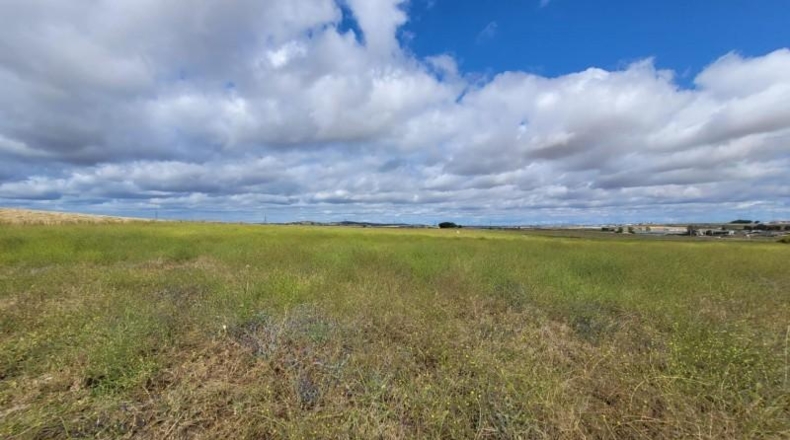 Huelva - Isla Cristina - 48838m2