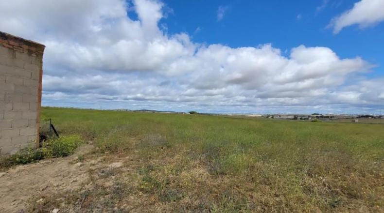 Huelva - Isla Cristina - 48838m2