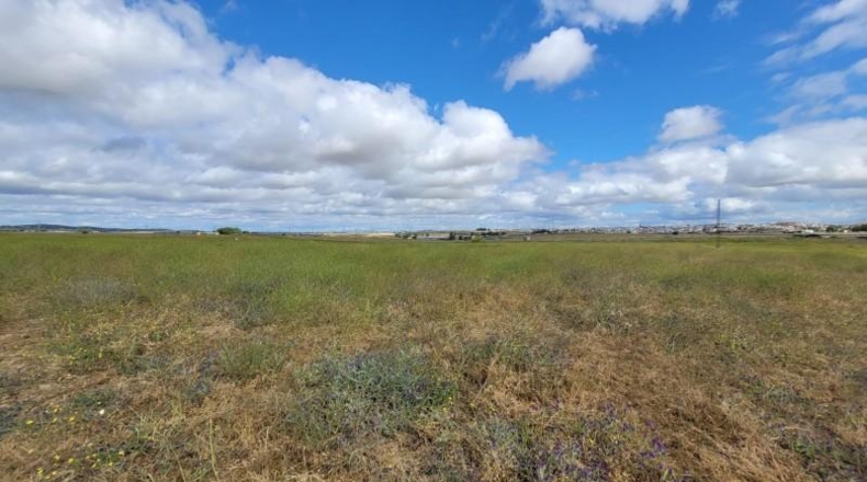 Huelva - Isla Cristina - 48838m2