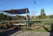 Detached villa with land for sale on España, Aznalcázar, ref: TR362115 photo