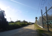 Detached villa with land for sale on España, Aznalcázar, ref: TR362115 photo