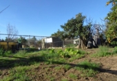 Detached villa with land for sale on España, Aznalcázar, ref: TR362115 photo