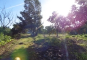 Detached villa with land for sale on España, Aznalcázar, ref: TR362115 photo