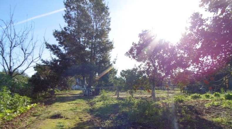 Sevilla - Aznalcázar - 1373m2