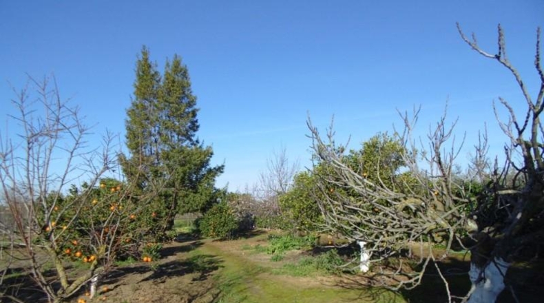 Sevilla - Aznalcázar - 1373m2