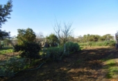 Detached villa with land for sale on España, Aznalcázar, ref: TR362115 photo