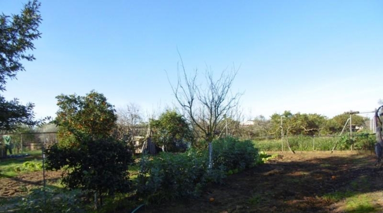 Sevilla - Aznalcázar - 1373m2