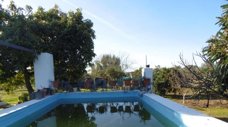 Sevilla - Aznalcázar - 1373m2