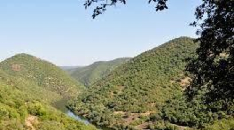 Córdoba - Fuente Obejuna - 409m2