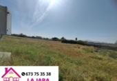 Terreny no urbanitzable en venda a la España, Sanlúcar de Barrameda, ref.: TR313571 foto
