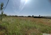 Terreny no urbanitzable en venda a la España, Sanlúcar de Barrameda, ref.: TR313571 foto
