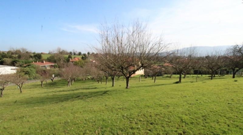 Asturias - Gijón - 1503m2