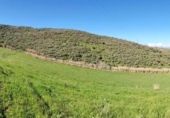 Casa de camp amb terreny en venda a la España, Gáldar, ref.: TR143350 foto