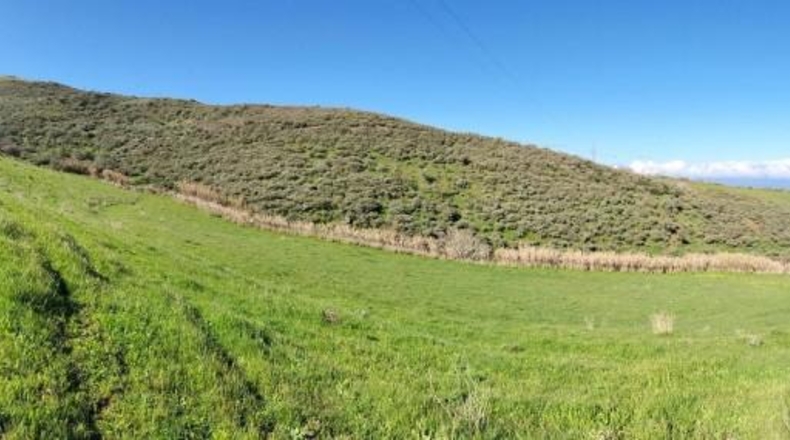Las Palmas - Gáldar - 36000m2