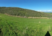 Casa de camp amb terreny en venda a la España, Gáldar, ref.: TR143350 foto