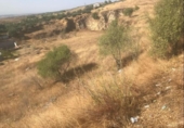 Sòl urbà en venda a la España, El Molar, ref.: TR311427 foto
