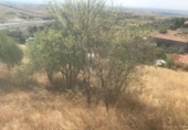 Sòl urbà en venda a la España, El Molar, ref.: TR311427 foto