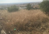 Sòl urbà en venda a la España, El Molar, ref.: TR311427 foto