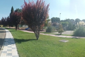 Foto 16
