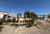 Finca rústica en venda a la España, Callosa de Segura, ref.: TR349494 foto