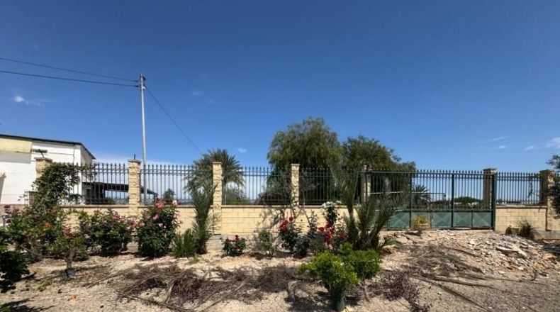 Alicante - Кальоса-де-Сегура - 5000m2