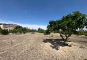 Finca rústica en venda a la España, Callosa de Segura, ref.: TR349494 foto