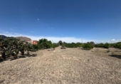 Finca rústica en venda a la España, Callosa de Segura, ref.: TR349494 foto