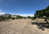 Finca rústica en venda a la España, Callosa de Segura, ref.: TR349494 foto