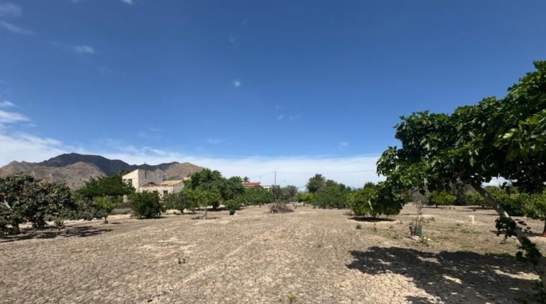 Alicante - Кальоса-де-Сегура - 5000m2