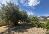 Finca rústica en venda a la España, Callosa de Segura, ref.: TR349494 foto