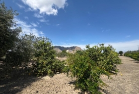 Foto 18