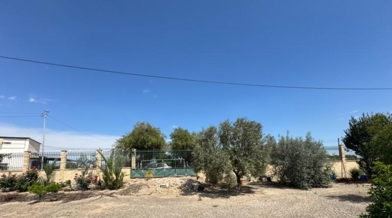 Alicante - Кальоса-де-Сегура - 5000m2