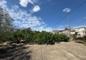 Finca rústica en venda a la España, Callosa de Segura, ref.: TR349494 foto