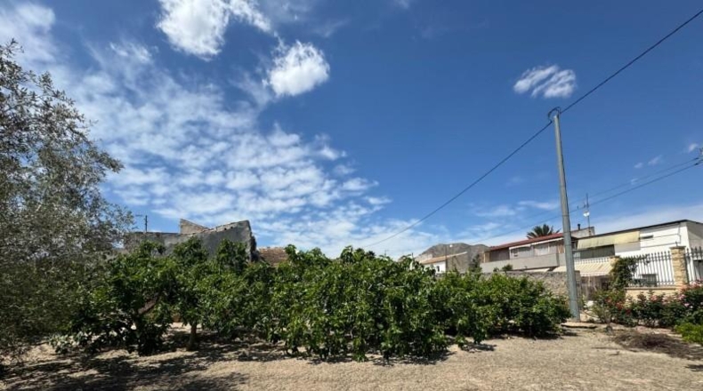 Alicante - Кальоса-де-Сегура - 5000m2