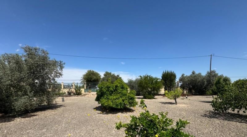 Alicante - Кальоса-де-Сегура - 5000m2