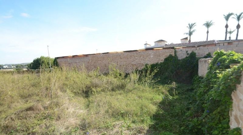 Alicante - Orihuela - 843m2