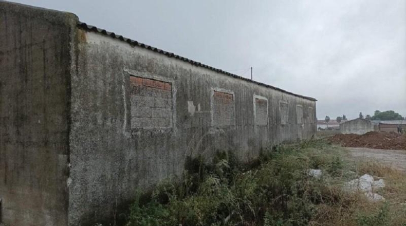 Cáceres - Moraleja - 5350m2
