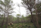 Non-developable land for sale on España, Sant Pere de Ribes, ref: TR125443 photo
