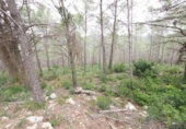 Non-developable land for sale on España, Sant Pere de Ribes, ref: TR125443 photo