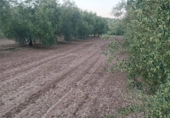 Terreno no urbanizable en venta en la España, Mollina, ref: TR283638 foto