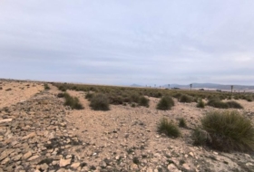 Yecla 95000&nbsp;m²