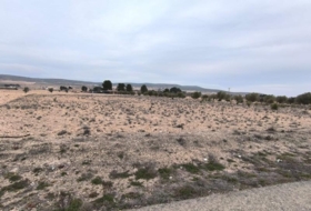 Yecla 95000&nbsp;m²