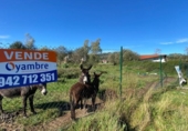 Land suitable for development for sale on España, Renedo de Piélagos, ref: TR125292 photo