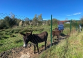 Land suitable for development for sale on España, Renedo de Piélagos, ref: TR125292 photo