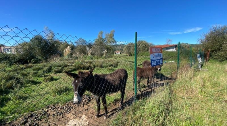 Cantàbria - Renedo de Piélagos - 4954m2