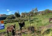 Land suitable for development for sale on España, Renedo de Piélagos, ref: TR125292 photo