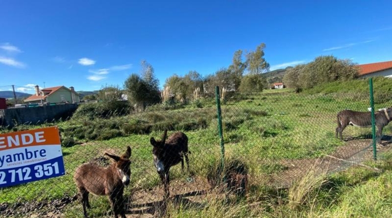 Cantàbria - Renedo de Piélagos - 4954m2