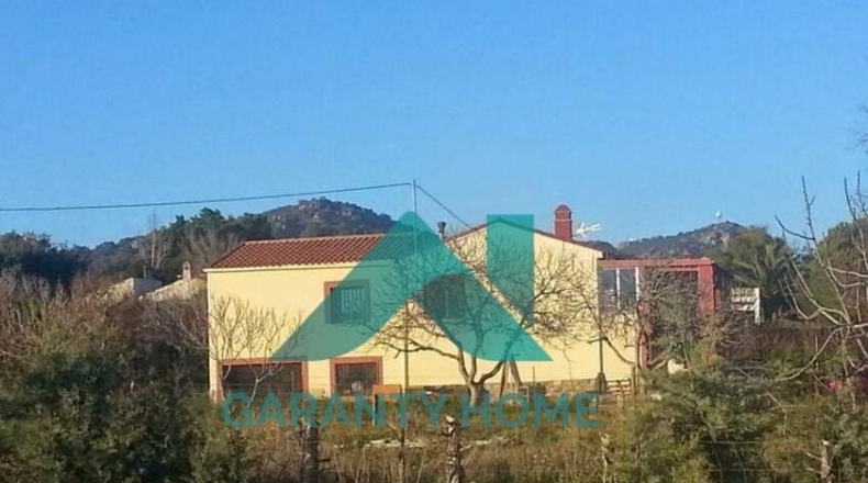 Cáceres - Sierra de Fuentes - 10000m2