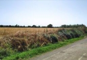 Land suitable for development for sale on España, Huesca, ref: TR316508 photo